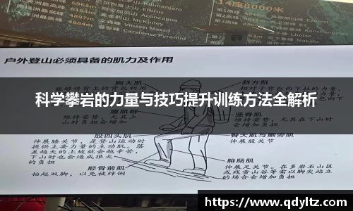 k1体育