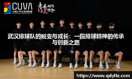 k1体育