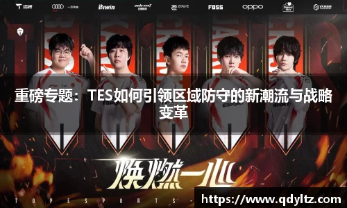 重磅专题：TES如何引领区域防守的新潮流与战略变革